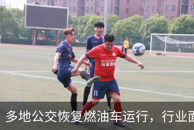 多地公交恢复燃油车运行，行业面临现实挑战与反思