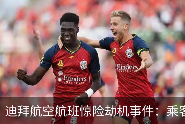 迪拜航空航班惊险劫机事件：乘客勇救机长，化险为夷